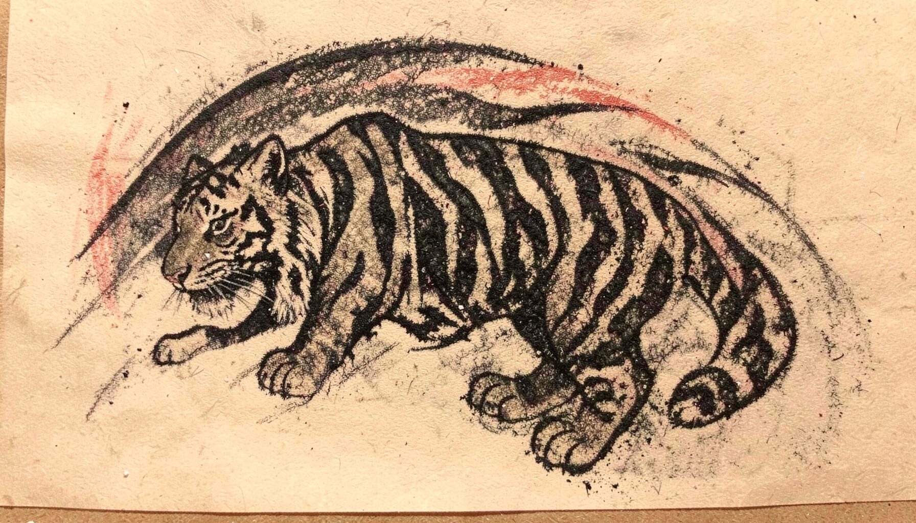 Charcoal study of a Suea tiger Sak Yant on a shoulder-blade composition, bold single-tiger motif with flame-like flourishes, dark charcoal on warm paper.